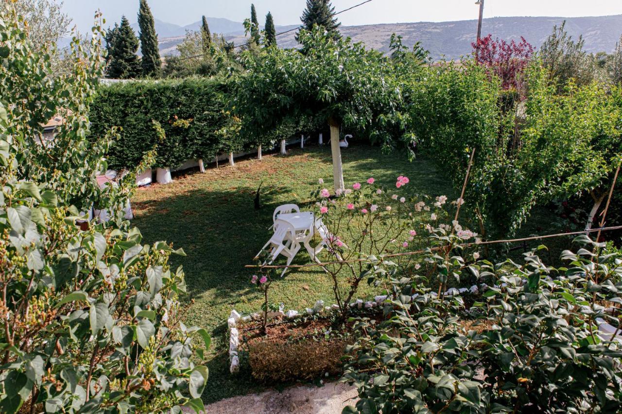 Anastasia'S Apartment Ioannina Exterior photo